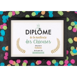 Affiche diplôme chieuse - Choix du format - Vendu sans le cadre
