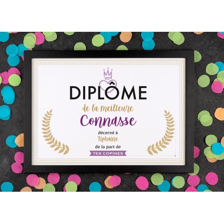 Affiche diplôme connasse - Choix du format - Vendu sans le cadre