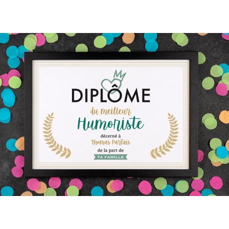 Affiche diplôme humoriste - Choix du format - Vendu sans le cadre