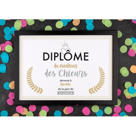 Affiche diplôme chieur - Choix du format - Vendu sans le cadre